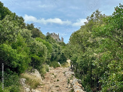 Scenic Hiking Trail Leading to the Ruins of Montferrand Castle Surrounded by Lush Green Forest in Saint-Mathieu-de-Tréviers, Near Pic Saint-Loup, France photo