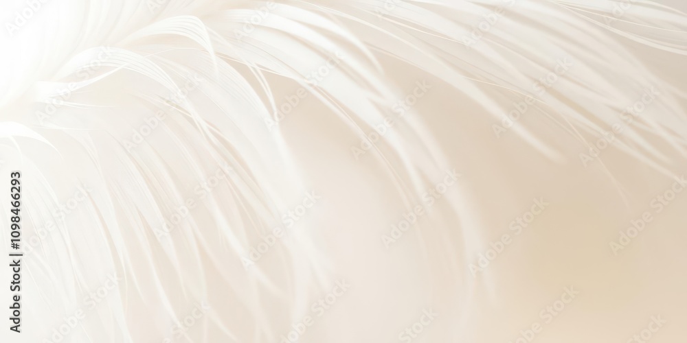 Obraz premium Soft and delicate feather textured background in shades of white and cream, macro, textured