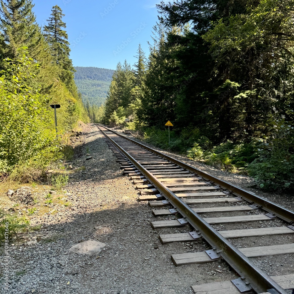 Obraz premium Railroad tracks in park