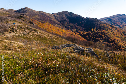 Blue Trail to Bukowe Berdo. Autumn in Bieszczady Mountains, Poland. photo