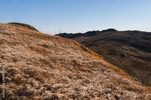 Photo of Blue Trail to Bukowe Berdo. Autumn in Bieszczady Mountains, Poland photo