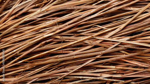 Brown Texture