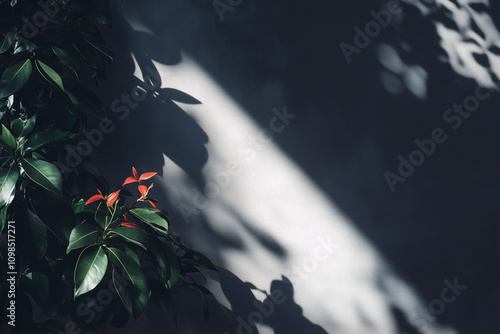 High-quality real photo with shadowed lighting, captured in 8K resolution, showcasing professional photography techniques for sharp details and a realistic, moody atmosphere.