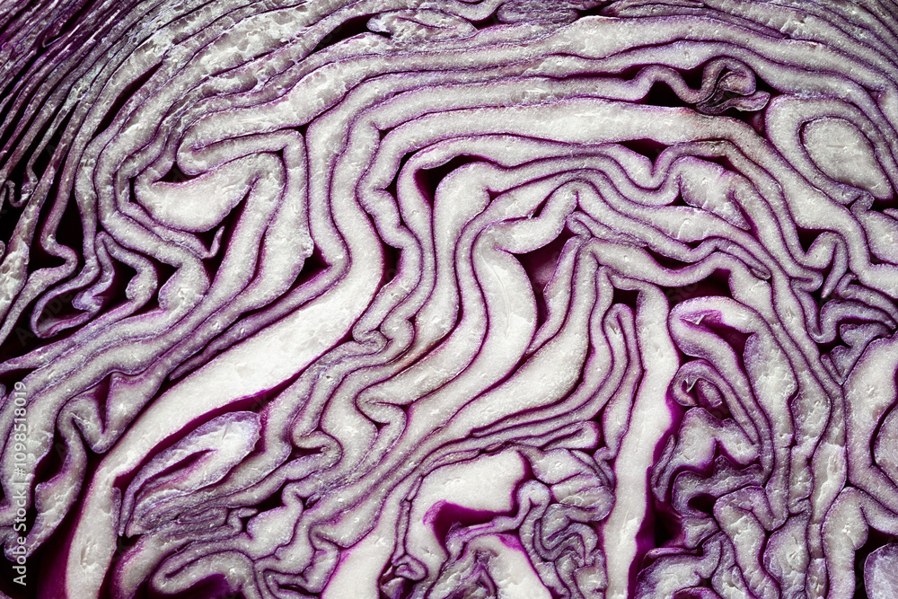 Obraz premium Purple cabbage. Full frame cabbage cut. Cabbage macro texture