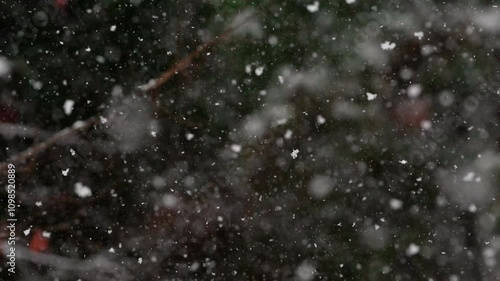Slow motion tracking shot of snow falling with a pan toward a snow man, in a back yard in Chapel Hill North Carolina in winter