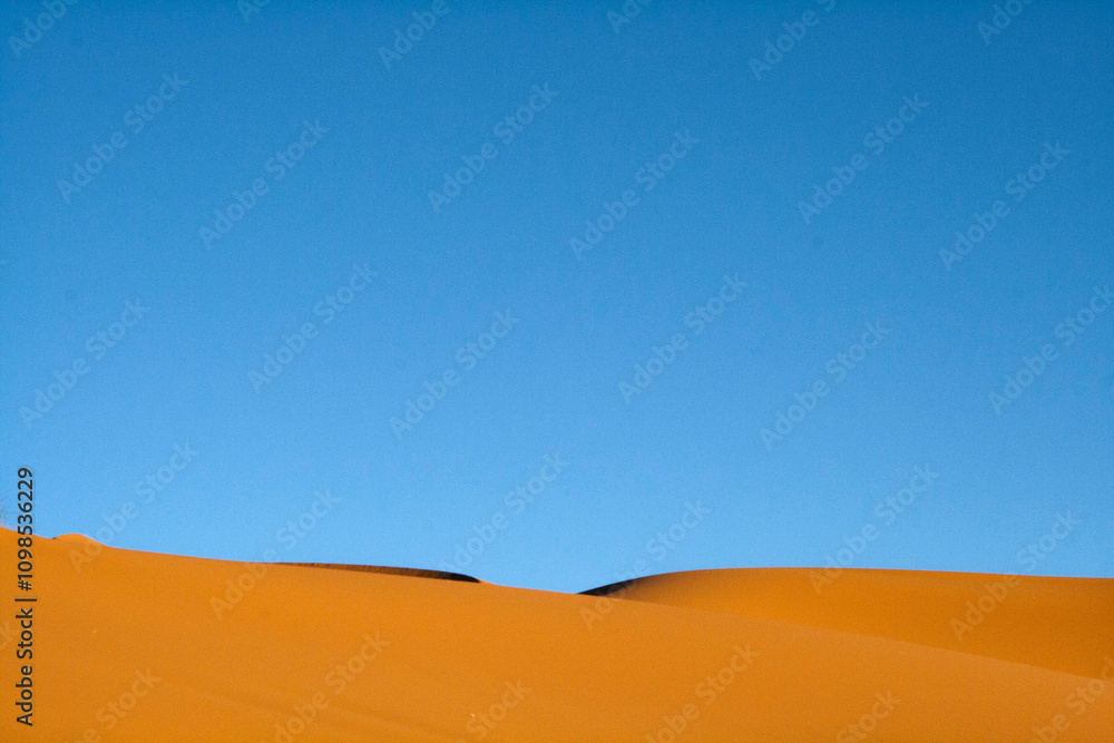 Fototapeta premium Sahara