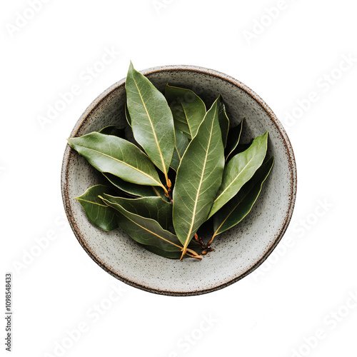 Indian bay leaves in a small bowl on a white background photo