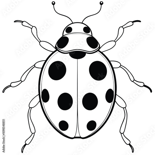 Realistic Ladybug from Top Vector Illustration Logo Icon