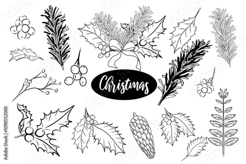 Mistletoe leaf Christmas set. Hand drawn vector sketch illustration