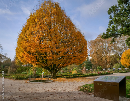 Parc de l'Arquebuse à Dijon en France photo