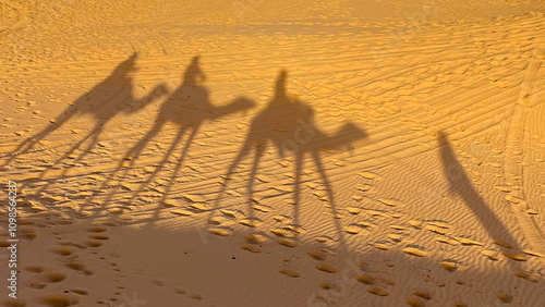 Tableau sur toile Sunset shadows of camels in the Sahara desert in Morocco