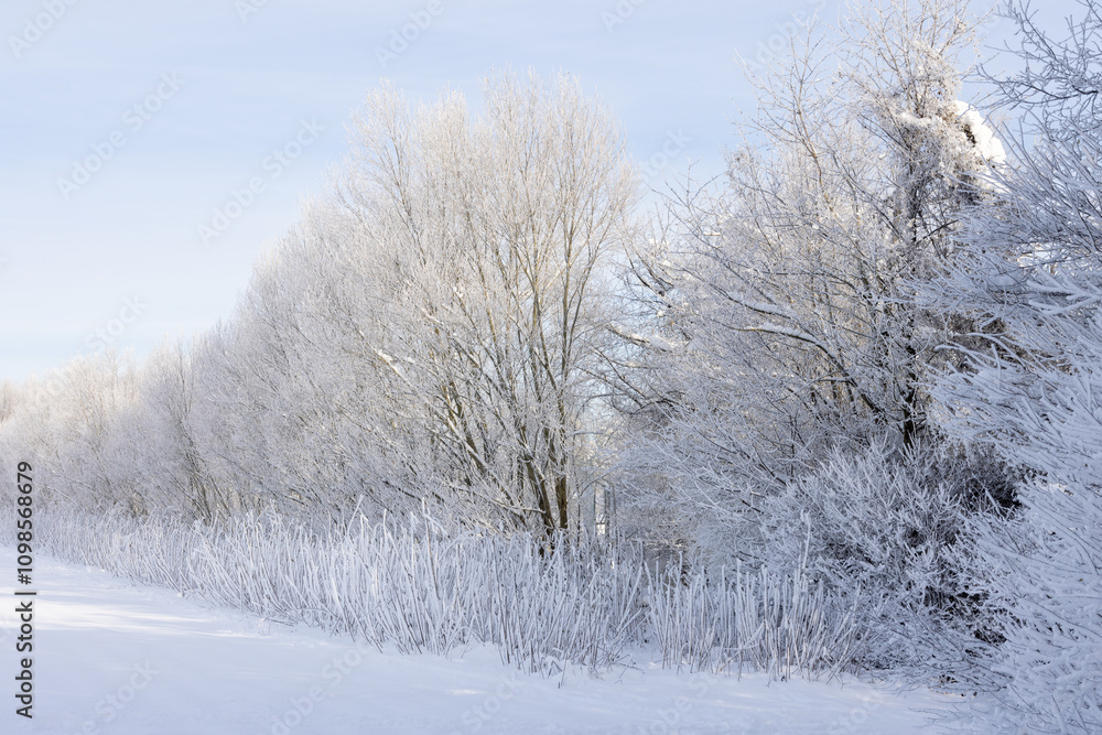 Fototapeta premium Winterwunderland in der Stadt Linz