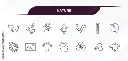 fully editable outline icon collection from nature concept. thin line icons set such as bilberry leaf, natural energy, cherry leaf, obcordate, season,