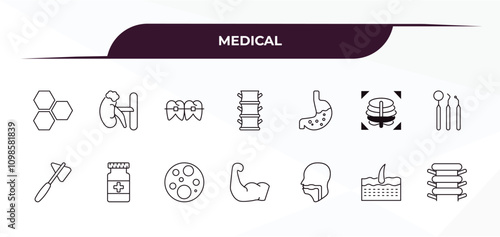 fully editable outline icon collection from medical concept. thin line icons set such as three hexagons cell, adrenal gland, stoh, dermis, vertebra,