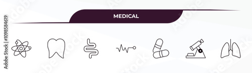 fully editable outline icon collection from medical concept. thin line icons set such as atomic structure, tooth, intestines, microscope tool, lungs,