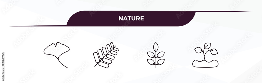 Fototapeta premium fully editable outline icon collection from nature concept. thin line icons set such as ginkgo, gooseberry leaf, american mountain ash, seeding,