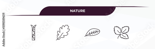 fully editable outline icon collection from nature concept. thin line icons set such as escuamiforme, pedunculate, lemon leaf, straberry leaf,