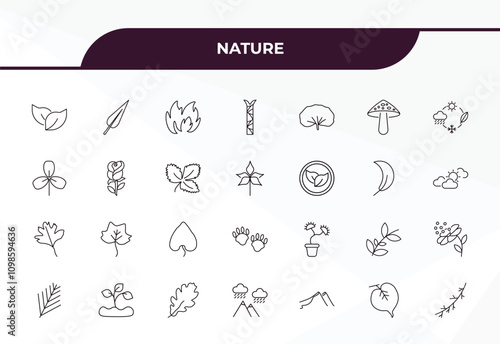 fully editable outline icon collection from nature concept. thin line icons set such as bilberry leaf, subulate, roses, linden leaf, larch leaf,