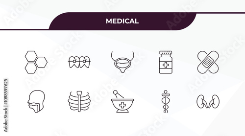 fully editable outline icon collection from medical concept. thin line icons set such as three hexagons cell, braces, pharynx, caduceus, kidney,