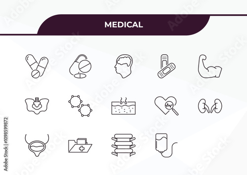 fully editable outline icon collection from medical concept. thin line icons set such as drug pills, drugs, pelvic area, vertebra, perfusion,