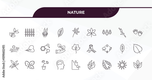 fully editable outline icon collection from nature concept. thin line icons set such as black willow, fences, perfoliate, shining sun with rays, sassafras leaf, photo