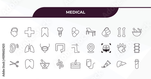 fully editable outline icon collection from medical concept. thin line icons set such as brain in bald male head, nurse cross, femur, liver, blood sample,