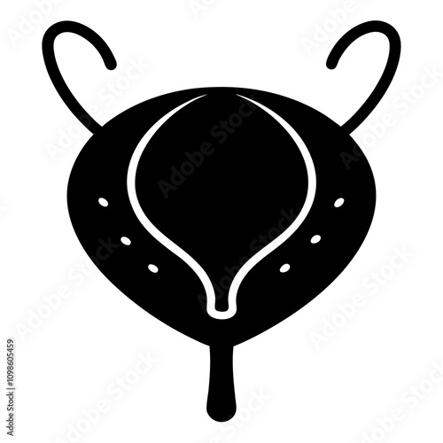 Bladder vector illustration