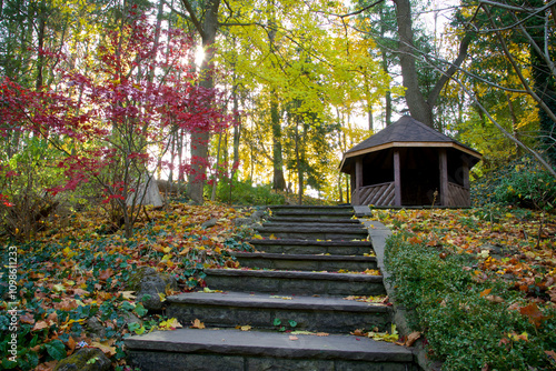 Photography Autumn leaf colour with lens flare. Steps lead to the canopy.