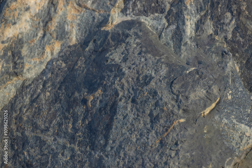 Grey Rock Along The Lake Ontario Shoreline photo