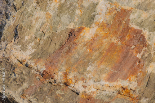 A Colourful Rock Along Shoreline Of Lake Ontario photo