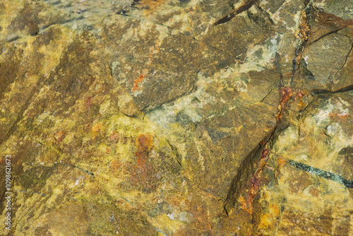 A Colourful Rock Along Shoreline Of Lake Ontario photo