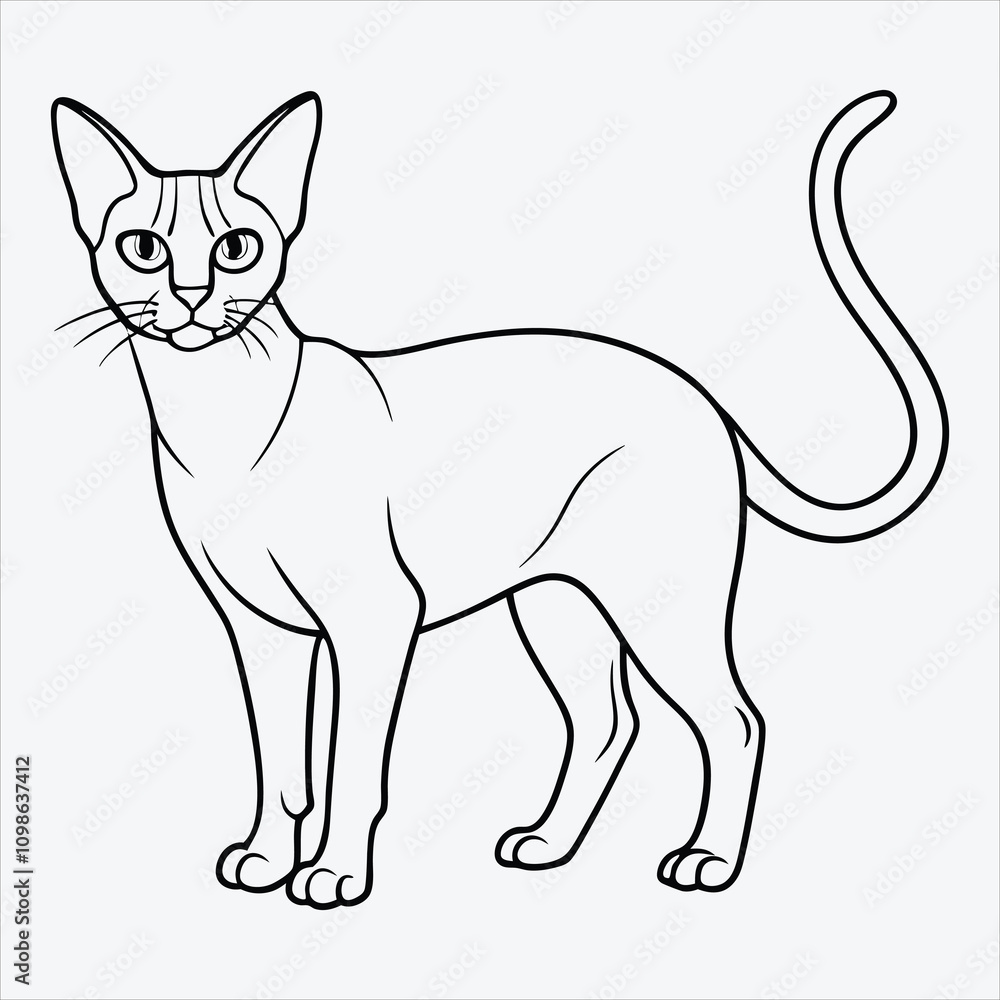 Obraz premium Abyssinian line art White background illustration Generative Ai