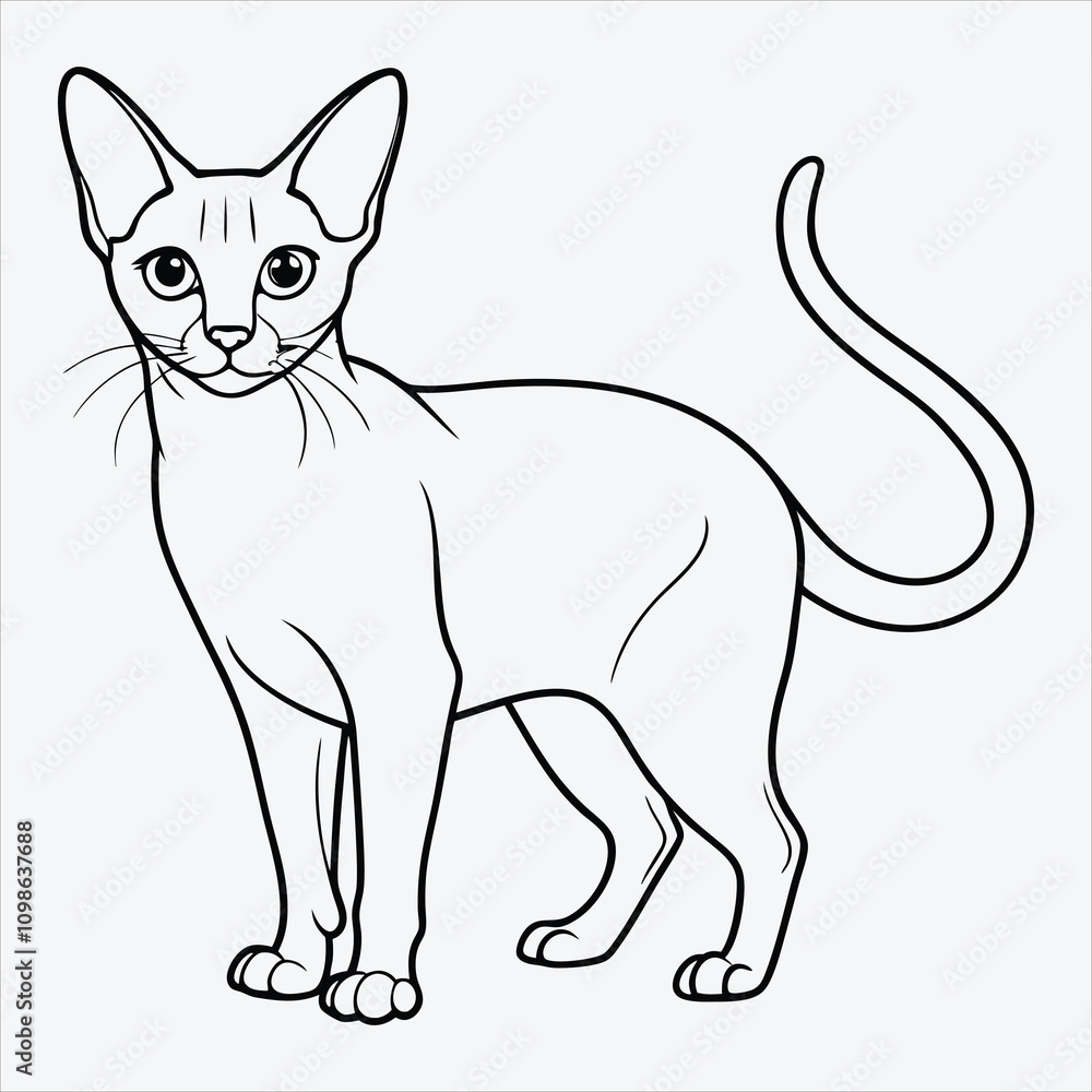 Fototapeta premium Abyssinian line art White background illustration Generative Ai