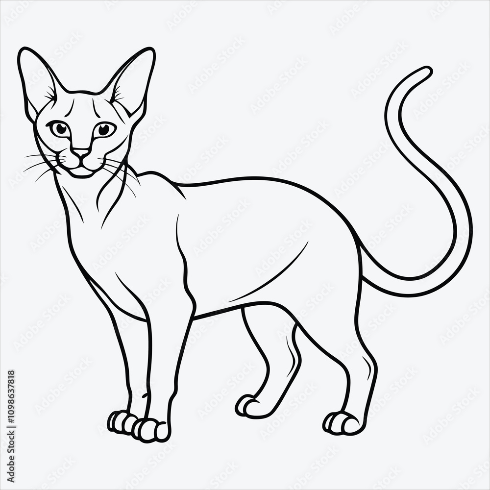 Fototapeta premium Abyssinian line art White background illustration Generative Ai