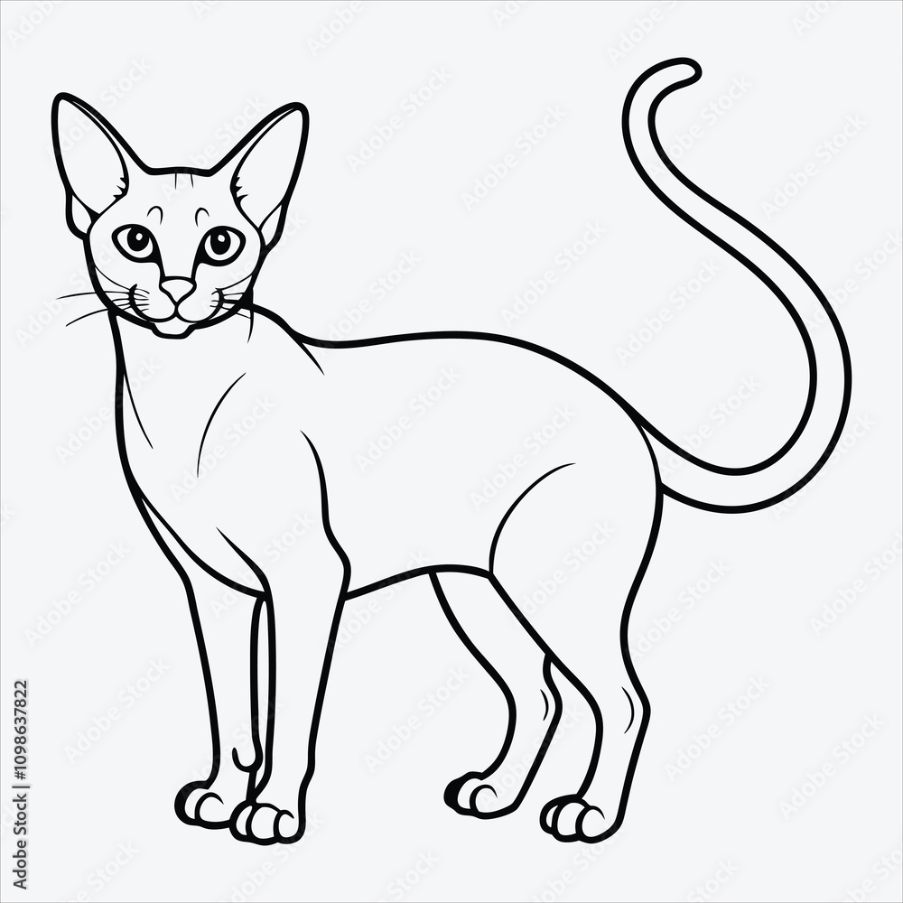 Fototapeta premium Abyssinian line art White background illustration Generative Ai