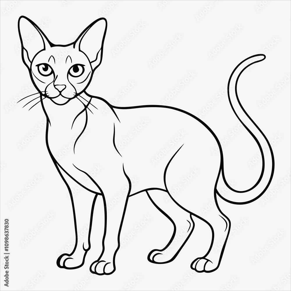 Obraz premium Abyssinian line art White background illustration Generative Ai