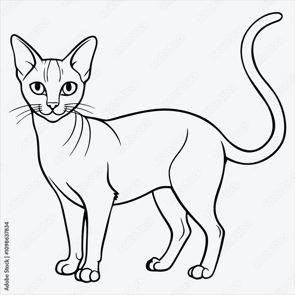 Fototapeta premium Abyssinian line art White background illustration Generative Ai
