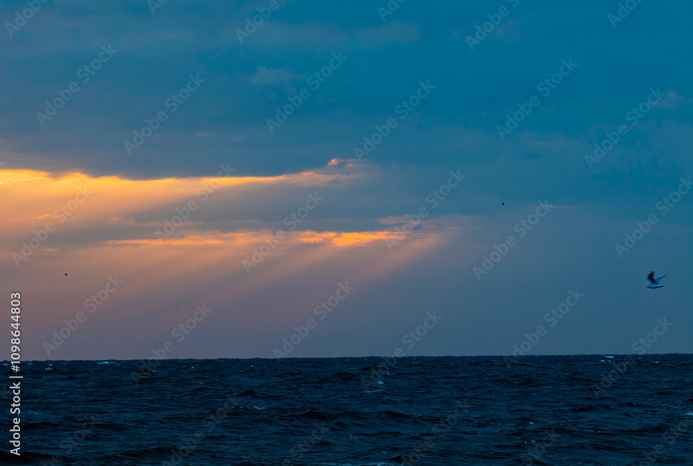 Fototapeta premium sunset in the sea