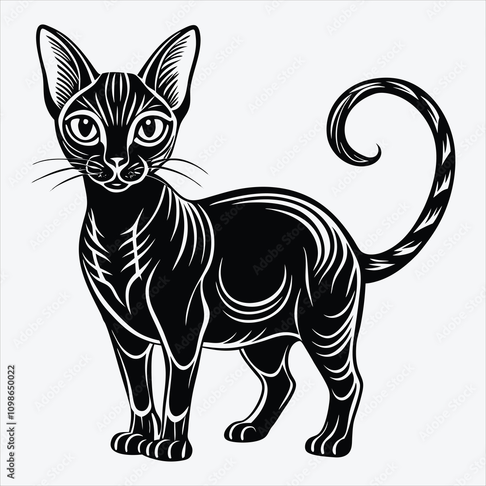 Obraz premium Abyssinian Silhouette White background illustration. Generative Ai