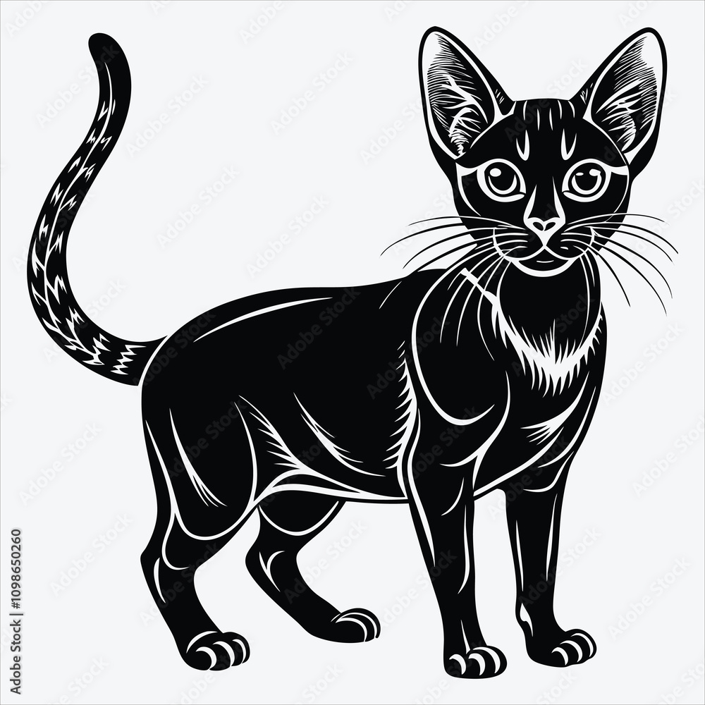 Obraz premium Abyssinian Silhouette White background illustration. Generative Ai