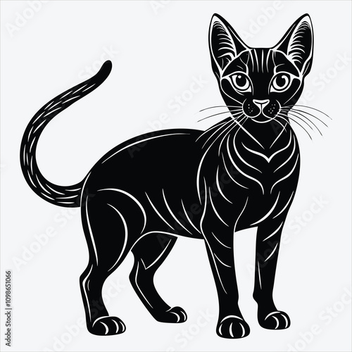 Abyssinian Silhouette White background illustration. Generative Ai