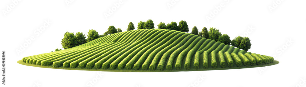 Fototapeta premium Greenhill with trees, white isolate background transparent background