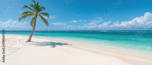 Tropical beach paradise with palm tree