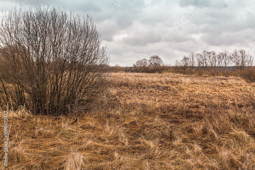 Cloudy spring day in Polesie. photo