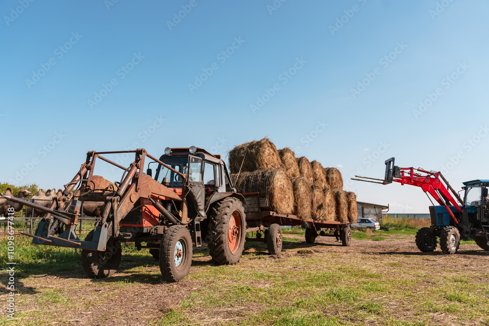 Obraz premium A tractor unloads a haystack on a farm.