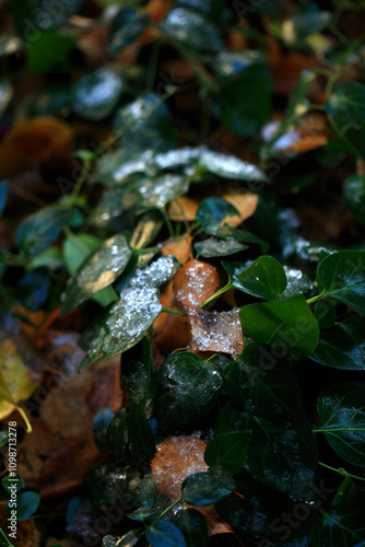 Colorful autumn leaves on nature background