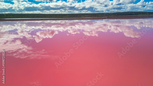 Vibrant pink hues of Hutt Lagoon captured from above, a natural wonder in Western Australia photo