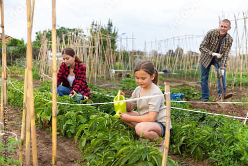 Daughter helps mom to water plants from a watering can in a farm field photo