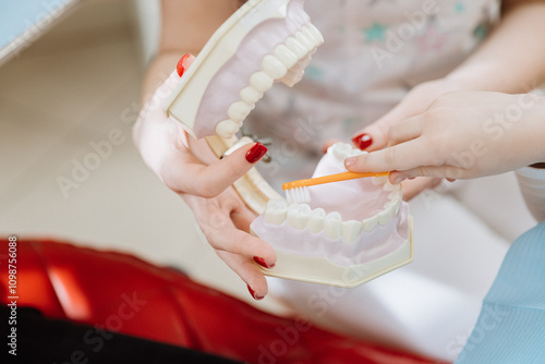 Teaching dental hygiene using a toothbrush and teeth model to demonstrate proper brushing technique photo