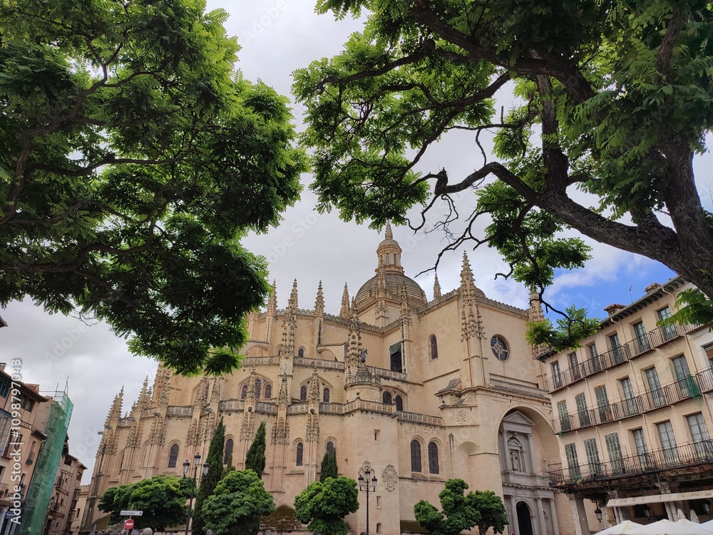 Fototapeta premium Segoia's charm